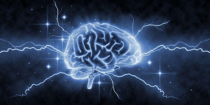Science: le cerveau fonctionne encore quelques secondes après l’arrêt du coeur