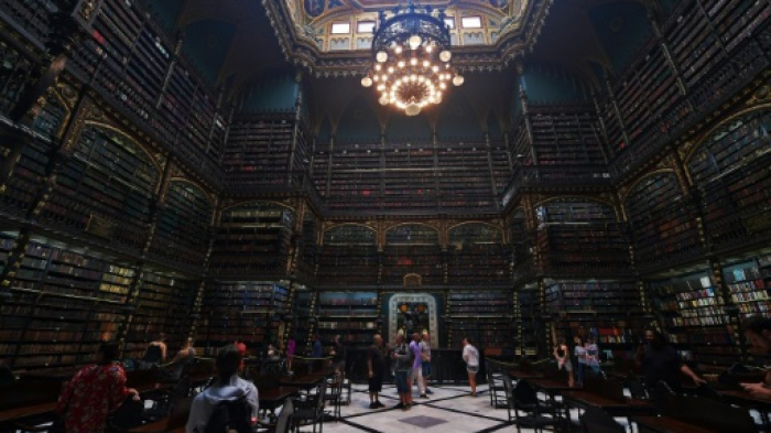 Cette bibliothèque spectaculaire enchante les fans de Harry Potter