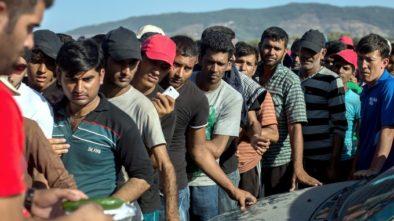 Slovenia to allocate 2.7 mln euros for refugees in Turkey