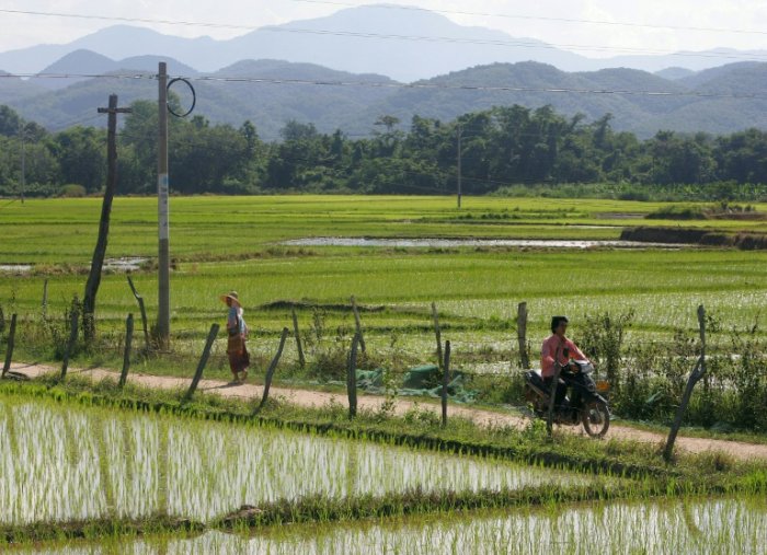 Thousands of Myanmar women forced into marriage in China: study