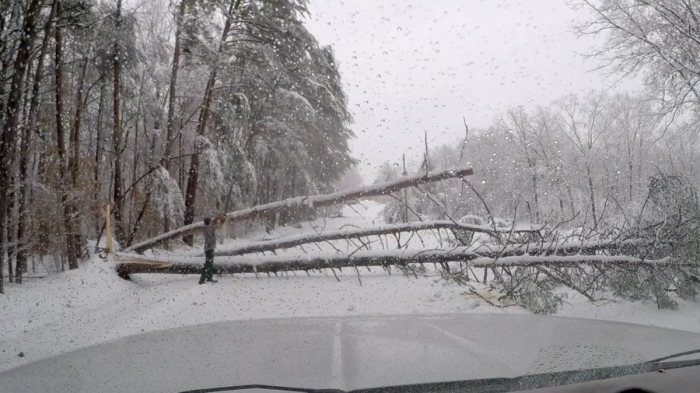 About 300,000 without power in U.S. southeast after storm