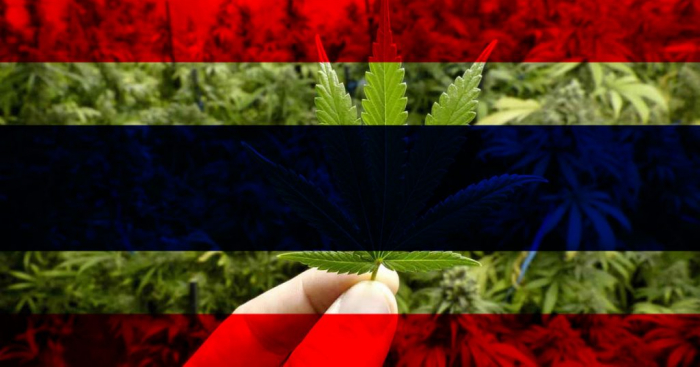 Tailandia aprueba la marihuana para uso medicinal