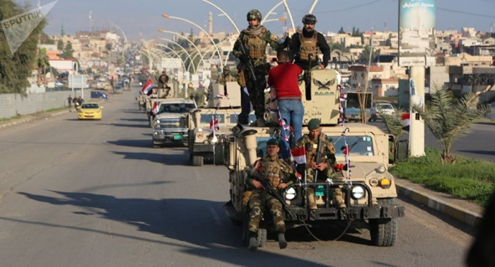 صور... الأسود تحمي مدينة عراقية محررة من "داعش"