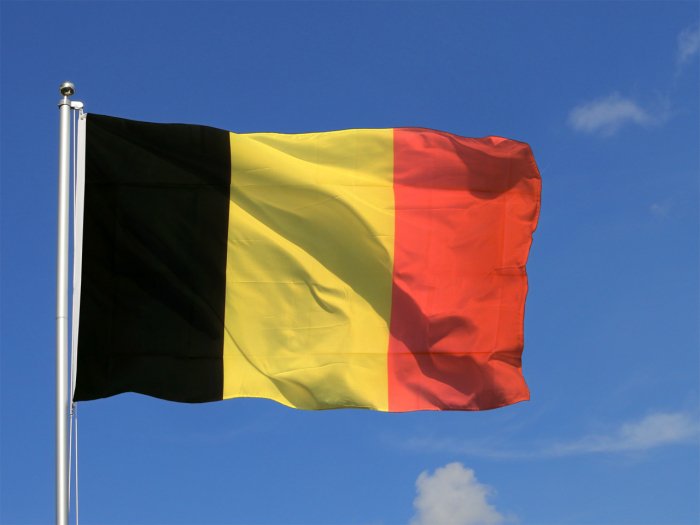 Belgian King to suspend PM