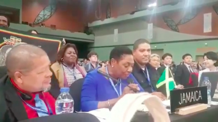 WATCH: Jamaican minister belts out Bob Marley to celebrate UNESCO’s recognition of reggae