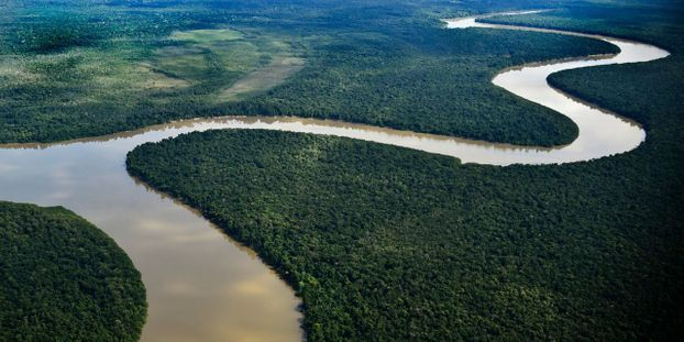 Quels sont les effets des changements climatiques sur la forêt amazonienne ?
