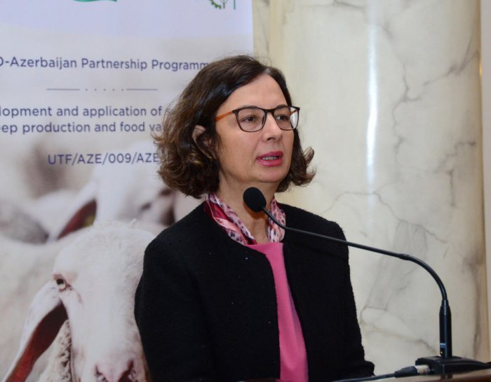   FAO interested in doing joint projects with Azerbaijan in third countries  