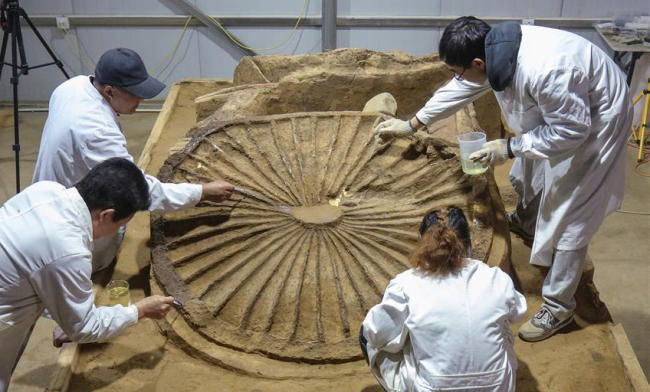 Chinese archaeologists unveil deluxe carriage from 2,500 years ago