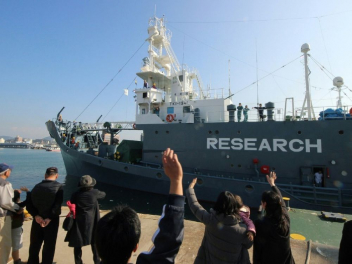 Le Japon va reprendre ouvertement la pêche commerciale à la baleine