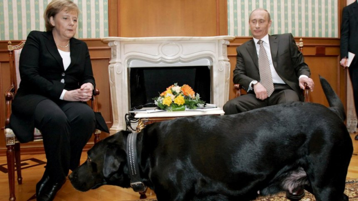 Kirsch-Whisky und Putins Labrador