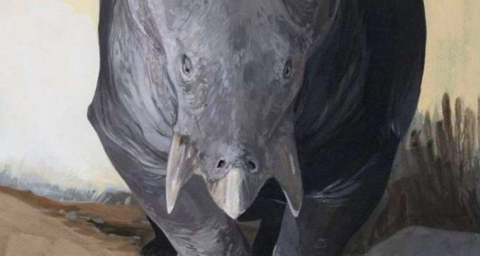 Un gigantesque « cousin » des mammifères a été découvert