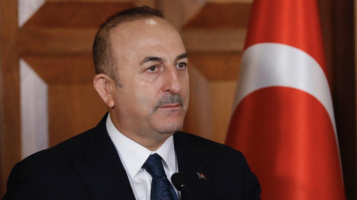   Cavusoglu: "la Turquie a la force militaire nécessaire pour battre, toute seule, Daech en Syrie"  