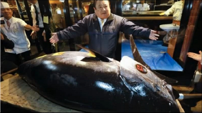  Auksionda tuna balığı 3,1 milyon dollara satıldı 