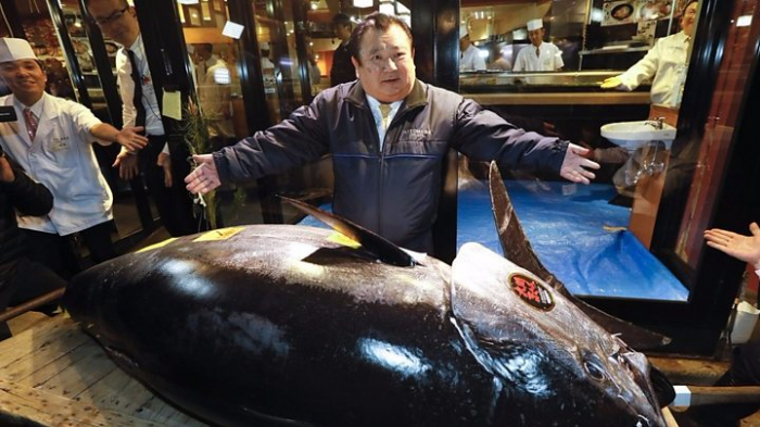   Japan sushi tycoon pays record tuna price  