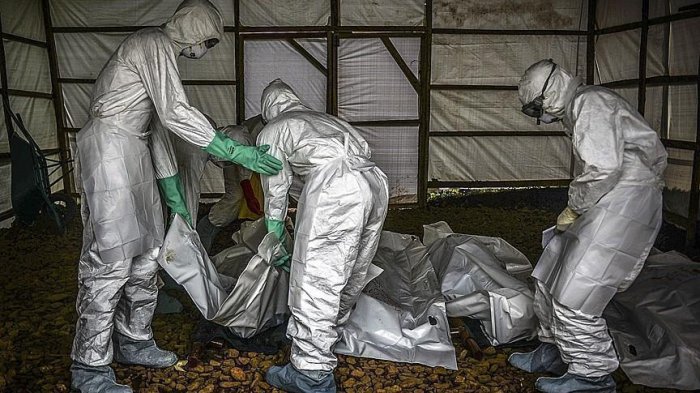 Death toll from Ebola in DR Congo climbs to 370