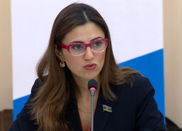   Azerbaijani MP at PACE: Armenia