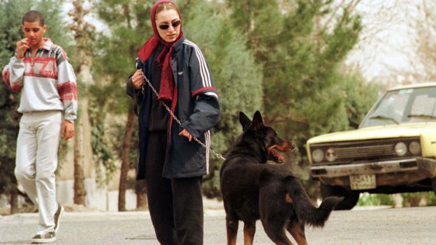 Tehran bans dog walking in public spaces