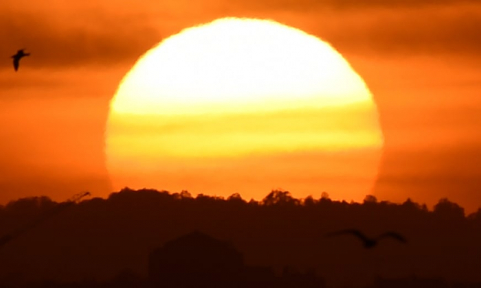 Australia extreme heatwave: records broken for highest minimum temperatures
