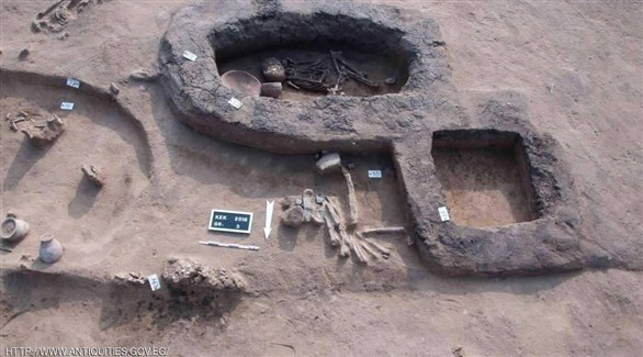 العثور على "كنز أثري" في مصر يعود إلى فترة "الهكسوس"
