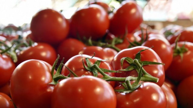 Bientôt des tomates «naturellement» pimentées dans nos assiettes ?