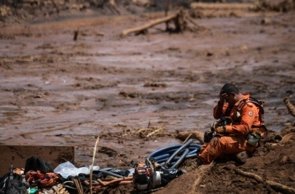 Catastrophe au Brésil : 125 hectares de forêt dévastés