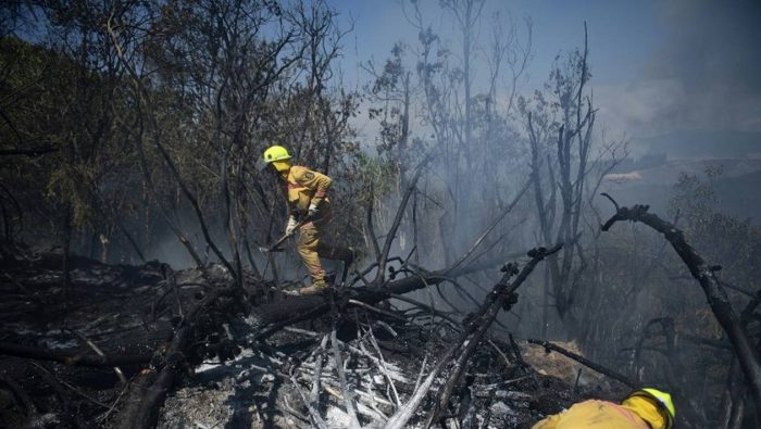 Nouvelle-Zélande : un important incendie de forêt risque de durer plusieurs semaines