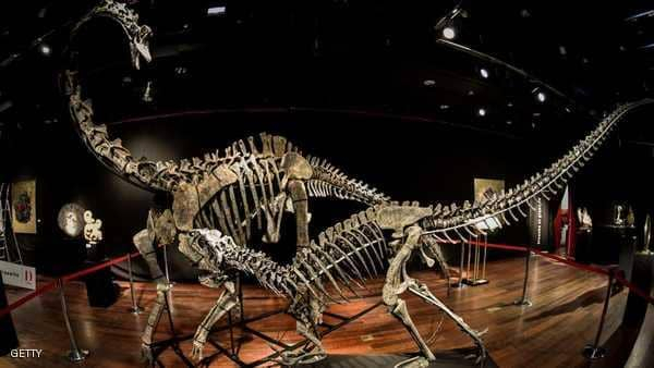 دراسات جديدة "تنسف" فرضية "هلاك الديناصورات"