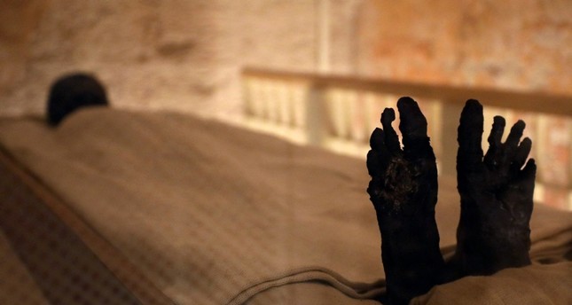 Experts unveil results of work on Pharaoh Tutankhamun