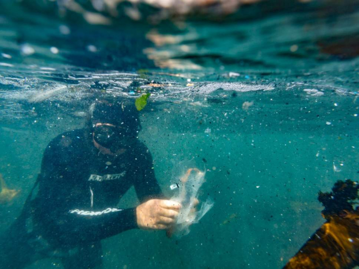  Bacteria glues plastics together in even deadlier threat to sea life 