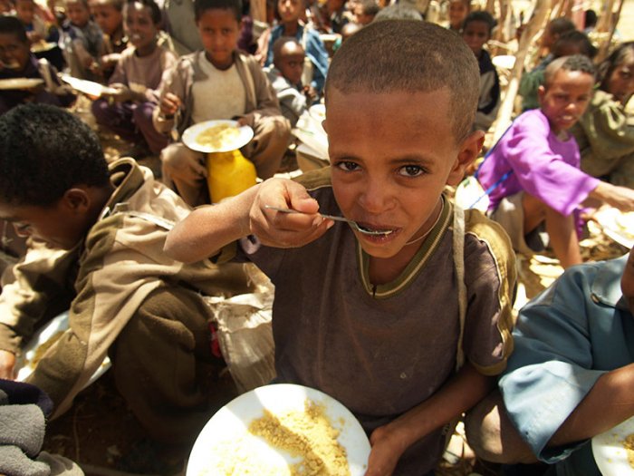   Could the whole world risk starvation?-  iWONDER    