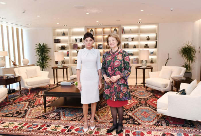  Primera vicepresidenta de Azerbaiyán se reúne con la enviada comercial del Reino Unido-  FOTO  