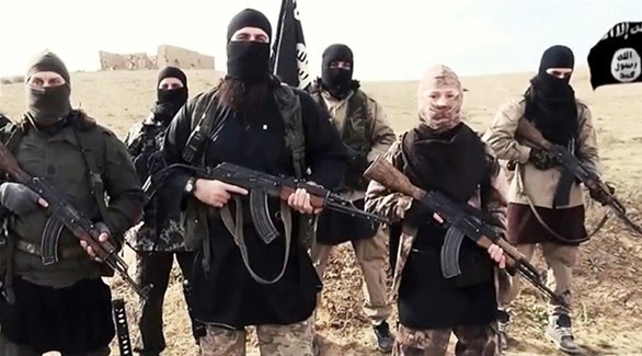 فنلندا: مقاتلو داعش من حقهم العودة لوطنهم