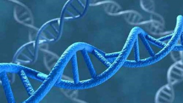 La Nasa invente un nouvel ADN pour chercher une vie extraterrestre