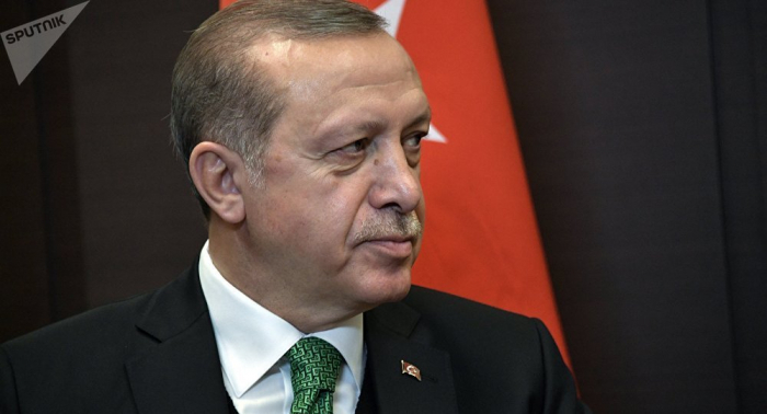   Erdogan  : Turquía no puede confiar a nadie el control sobre la zona segura en Siria