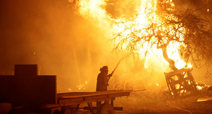   Gobierno  : 42 incendios forestales afectan territorio chileno