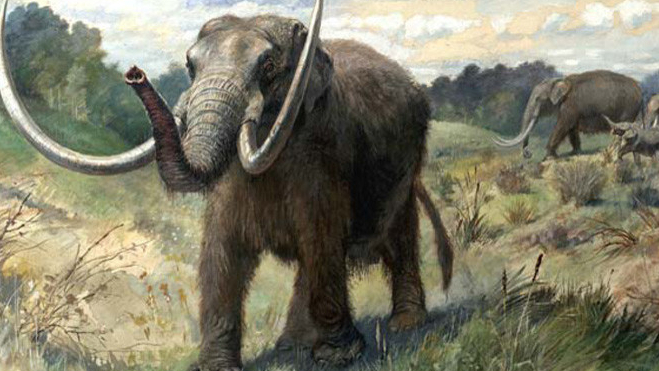 Descubren en California una nueva especie de mastodonte