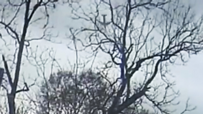     VIDEO  : Publican imágenes de la caída boca abajo del avión de carga Boeing 767 en Texas  