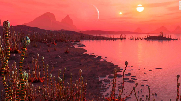  For possible life on other planets,  the more suns the better  