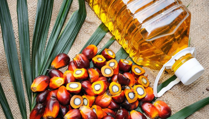   Aceite de palma:   propiedades, beneficios y valor nutricional