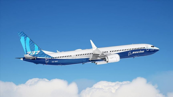   Sept pays suspendent tout usage du Boeing 737  