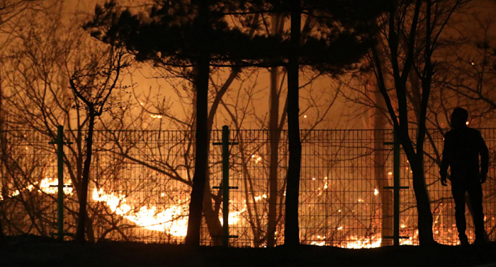 Área afectada por el incendio en Corea del Sur, designada zona de desastre especial