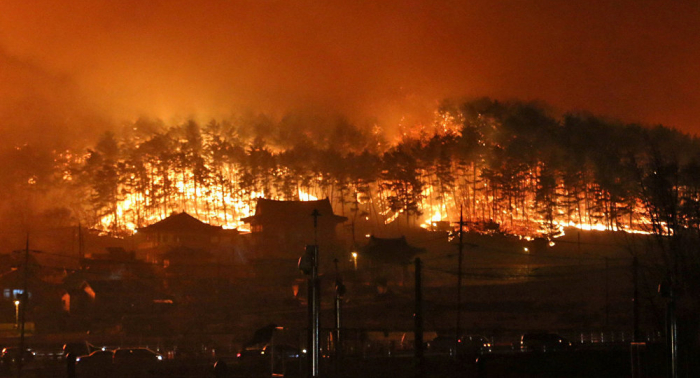   Corea del Sur declara el estado de desastre nacional por el incendio en noreste del país  