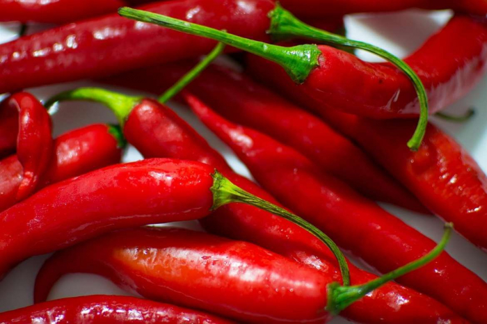   Spicy compound from chili peppers found to slow lung cancer progression: study  