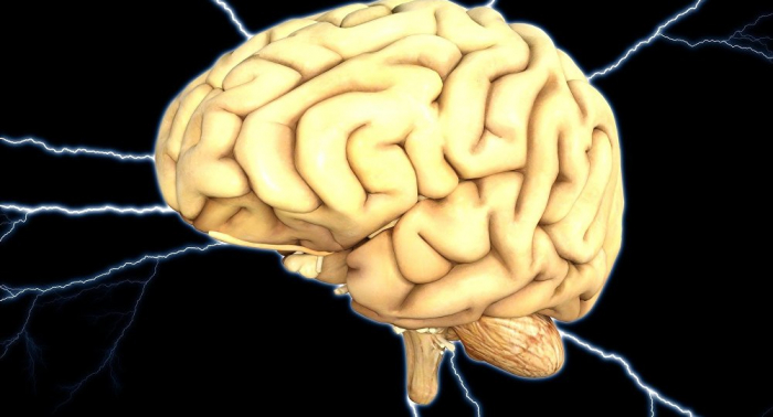 Forscher: Dieses Mittel hilft gegen gefährliche Gehirnerkrankungen
