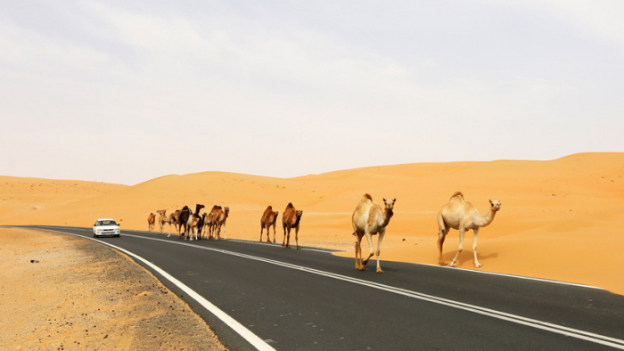  Todos los caminos llevan a Pekín:   17 países árabes se unen a las Nuevas Rutas de la Seda de China