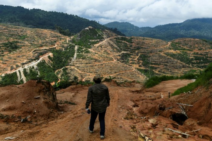 One million species risk extinction due to humans: draft UN report
