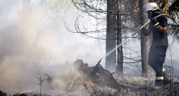  Nun brennt auch Berlin: Waldbrände wüten in Köpenick 