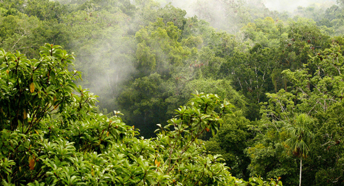 Fundación ecológica dona 400.000 hectáreas de parque a Chile