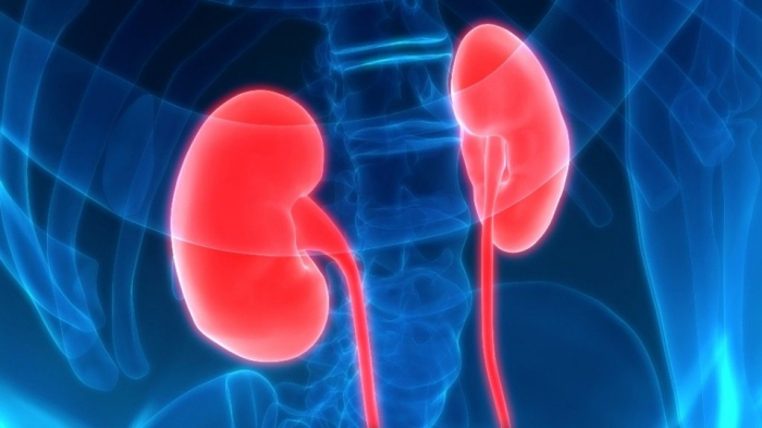 Heavier and taller children are more likely to develop kidney cancer as adults than their average-sized peers