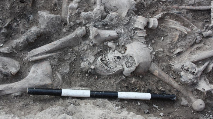  Skeleton DNA reveals surprising backgrounds of Crusader soldiers 